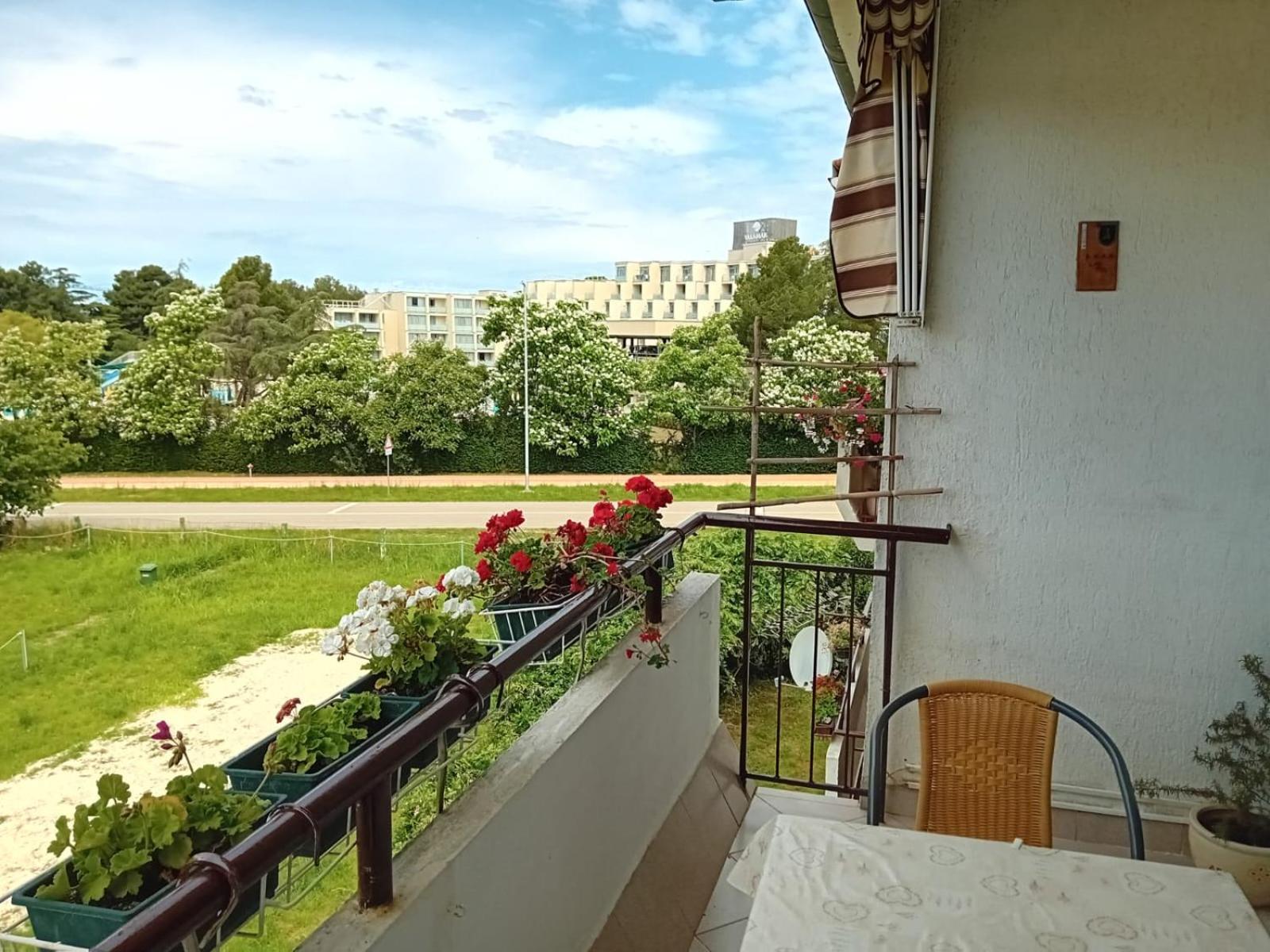 Sea View Filipo -